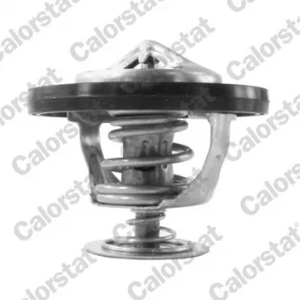 CALORSTAT BY VERNET TH7217.95J - Thermostat, liquide de refroidissement