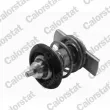CALORSTAT BY VERNET THK7424.88J - Thermostat, liquide de refroidissement