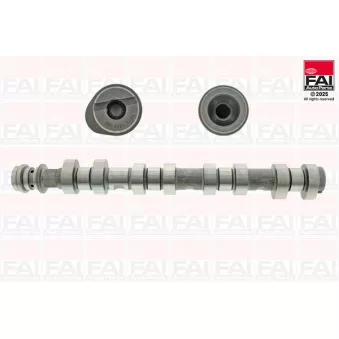 FAI AutoParts C460 - Arbre à came