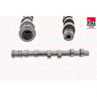 FAI AutoParts C565 - Arbre à came