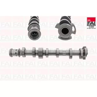 FAI AutoParts C566 - Arbre à came