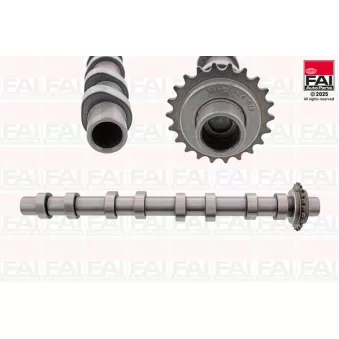FAI AutoParts C619 - Arbre à came