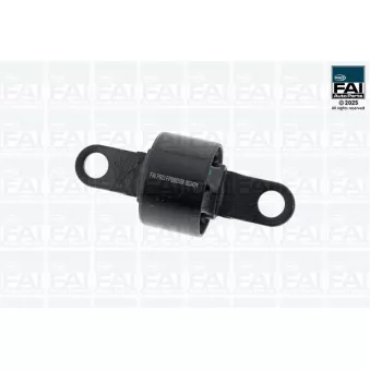 FAI AutoParts FPSB0509 - Suspension, corps de l'essieu