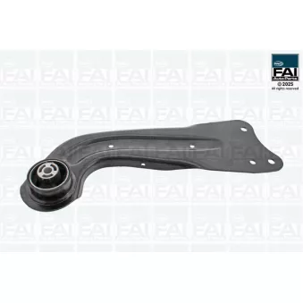FAI AutoParts FPTC0290R - Triangle ou bras de suspension (train avant)