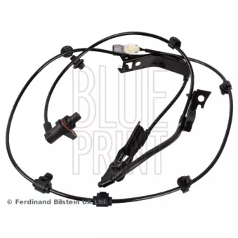 Capteur, vitesse de roue avant gauche BLUE PRINT OEM 8954371010