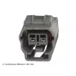 BLUE PRINT ADBP710156 - Capteur, vitesse de roue avant droit