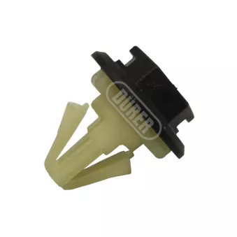 Clip, enjoliveur DÜRER CL31s10