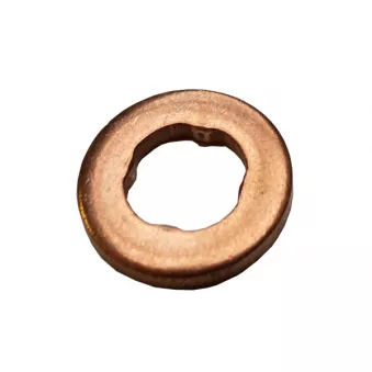 DÜRER GI452420 - Joint d'étanchéité, porte-injecteur
