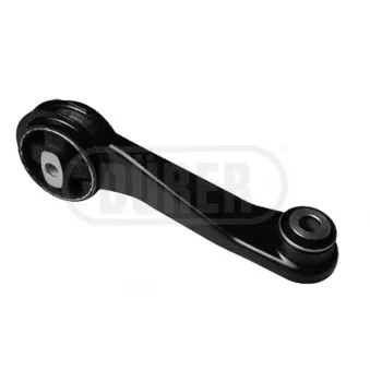 Support moteur DÜRER OEM 1132000QAF