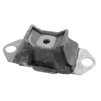 Support moteur DÜRER OEM 8200014932