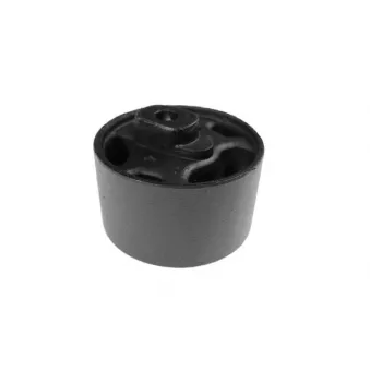 Support moteur DÜRER OEM 171199214K