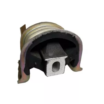 Support moteur DÜRER OEM 7H0199848D