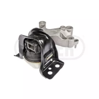 Support moteur DÜRER OEM 113755975R