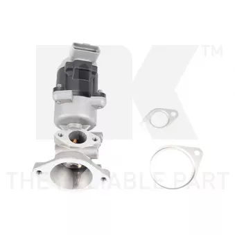 Vanne EGR NK OEM LR006988
