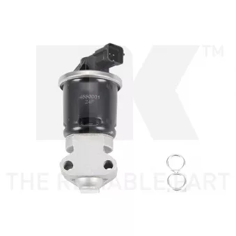Vanne EGR NK OEM 25182357