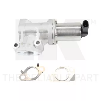 Vanne EGR NK OEM 284102A120