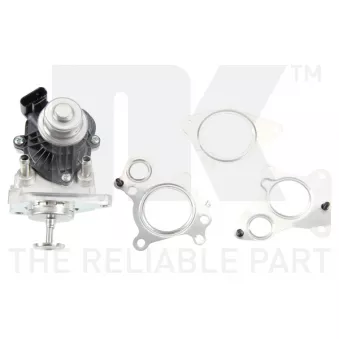 Vanne EGR NK OEM 25620WA020