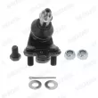 MOOG TO-BJ-16882 - Rotule de suspension avant droit