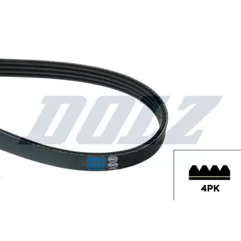 DOLZ 05KD4PK714E - Courroie trapézoïdale à nervures
