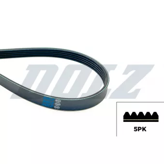 DOLZ 05KD5PK761E - Courroie trapézoïdale à nervures