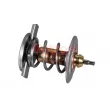 METZGER 4006226 - Thermostat d'eau