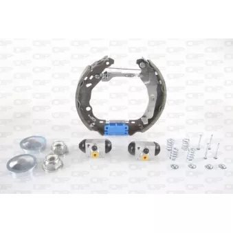 Jeu de mâchoires de frein OPEN PARTS OEM 1663939680