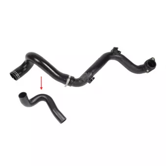 Gaine de suralimentation GOOM OEM 51998293