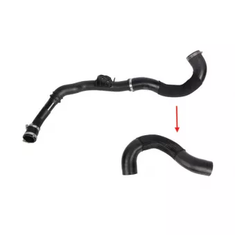 Gaine de suralimentation GOOM OEM 2386721