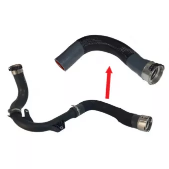 Gaine de suralimentation GOOM OEM 144600444R