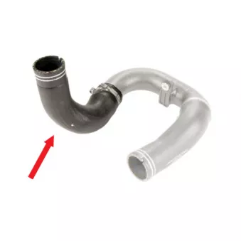 Gaine de suralimentation GOOM OEM 52005211