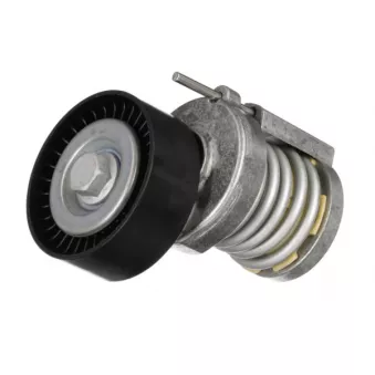 Tendeur de courroie, courroie trapézoïdale à nervures GOOM OEM 030145299C