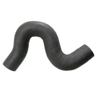 GOOM RH-2919 - Durite de radiateur