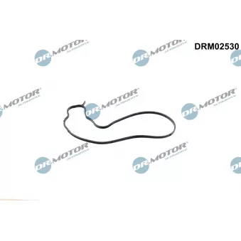 Dr.Motor DRM02530 - Joint d'étanchéité, pompe à eau