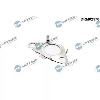Dr.Motor DRM02570 - Joint, flexible vanne EGR