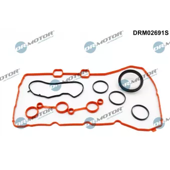 Dr.Motor DRM02691S - Jeu de joints d'étanchéité, carter de distribution