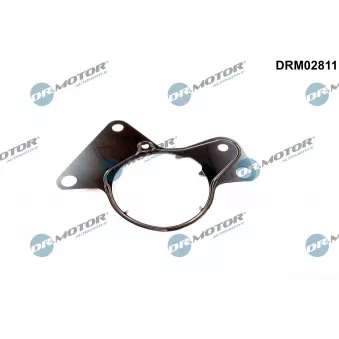 Dr.Motor DRM02811 - Joint d'étanchéité, pompe à carburant