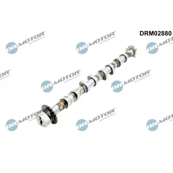 Arbre à came Dr.Motor OEM 06F109101B