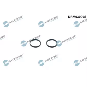 Dr.Motor DRM03099S - Kit de joints, pompe à huile