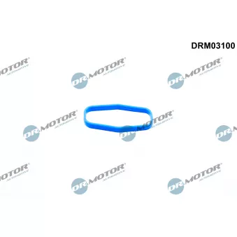 Dr.Motor DRM03100 - Joint d'étanchéité, pompe à huile