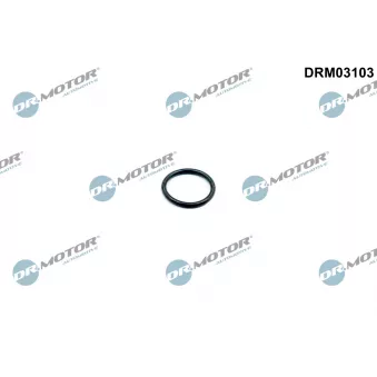 Dr.Motor DRM03103 - Joint d'étanchéité, boîtier du thermostat