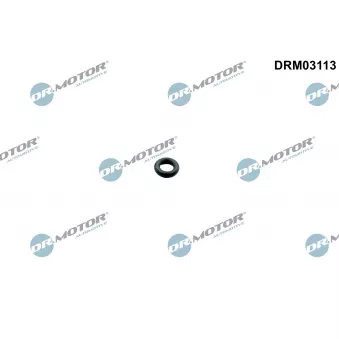 Dr.Motor DRM03113 - Bague d'étanchéité, injecteur