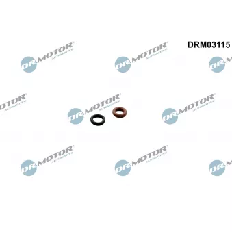 Dr.Motor DRM03115 - Kit de joints, injecteur