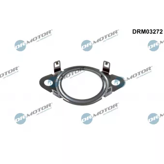 Dr.Motor DRM03272 - Joint, flexible vanne EGR