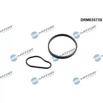 Jeu de joints, pompe à vide Dr.Motor DRM03573S