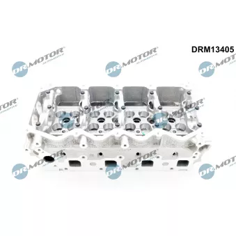 Culasse de cylindre Dr.Motor OEM 11040EB30A