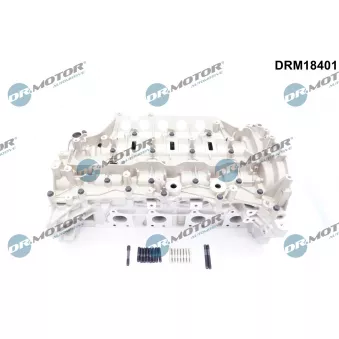 Culasse de cylindre Dr.Motor OEM 1104100Q4A