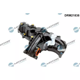 Module de tube d'admission Dr.Motor DRM21838 pour SKODA YETI 2.0 TDI 4x4 - 110cv