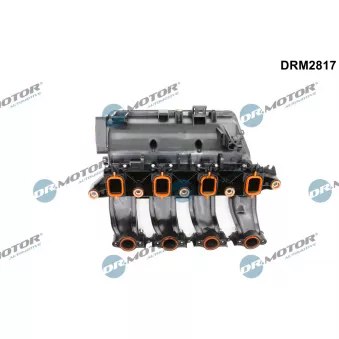 Dr.Motor DRM2817 - Module de tube d'admission