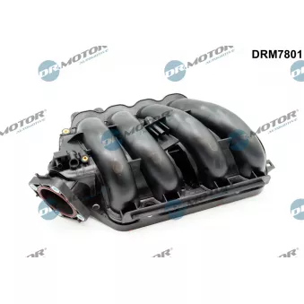 Module de tube d'admission Dr.Motor OEM 17100R40A00