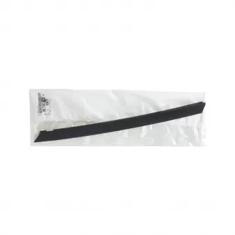 baguette décorative, fenêtre triangulaire à l'avant droite OE [9674074980]